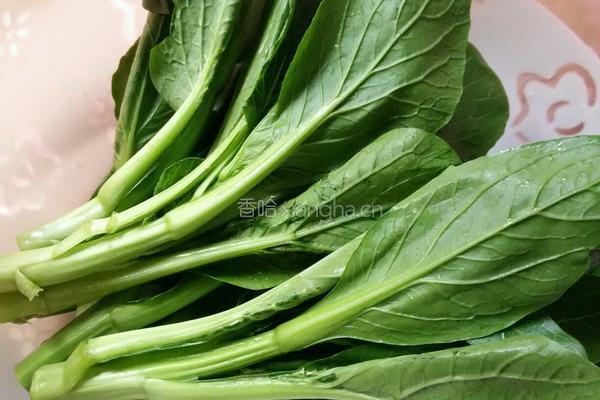 海米油菜苔的做法图解1