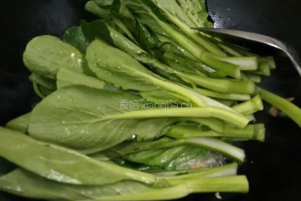 海米油菜苔的做法图解7