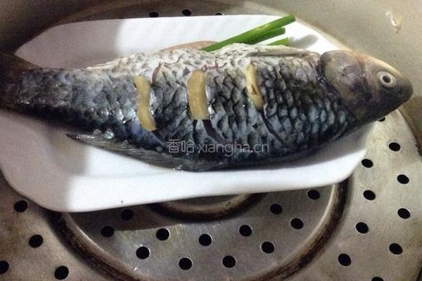 蒸鲫鱼的做法图解5