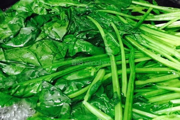 姜蒜香汁菠菜的做法图解4