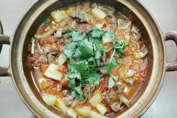 土豆番茄牛腩汤的做法图解10