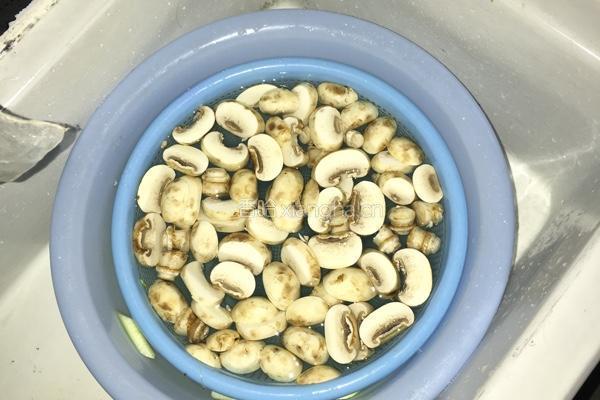 義式焗飯的做法图解6
