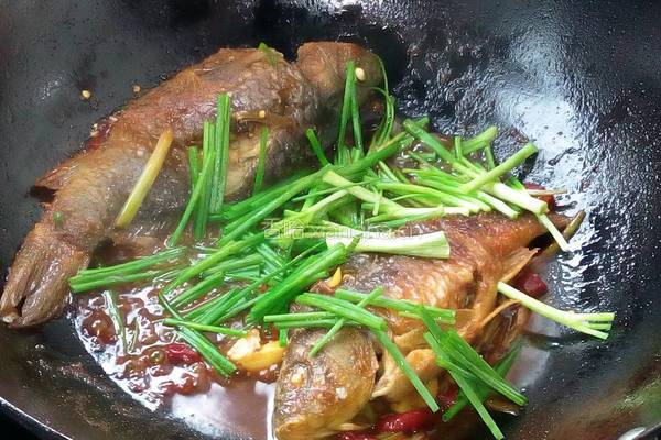 葱焖鲫鱼的做法图解8