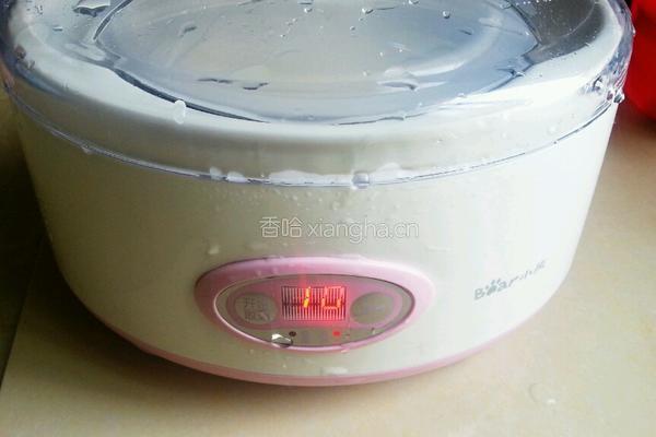 自制酸奶的做法图解7