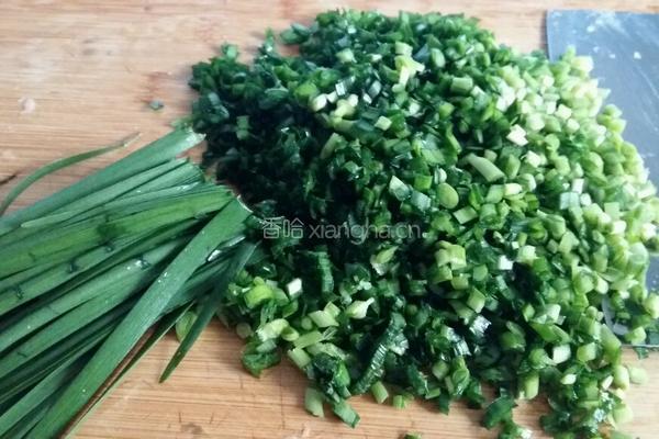 韭菜鸡肉馅饺子的做法图解8