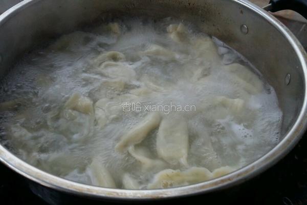 韭菜鸡肉馅饺子的做法图解13