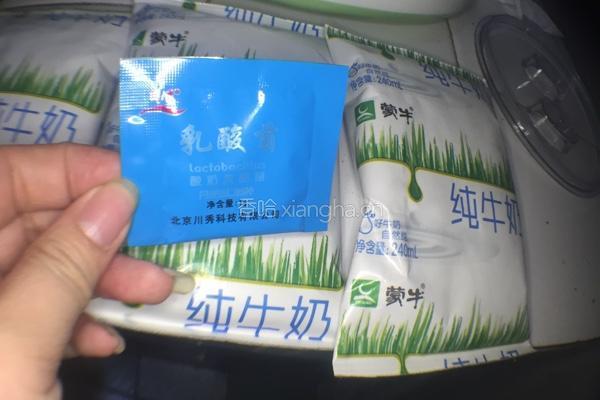 芒果酸奶的做法图解1