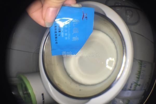 芒果酸奶的做法图解3