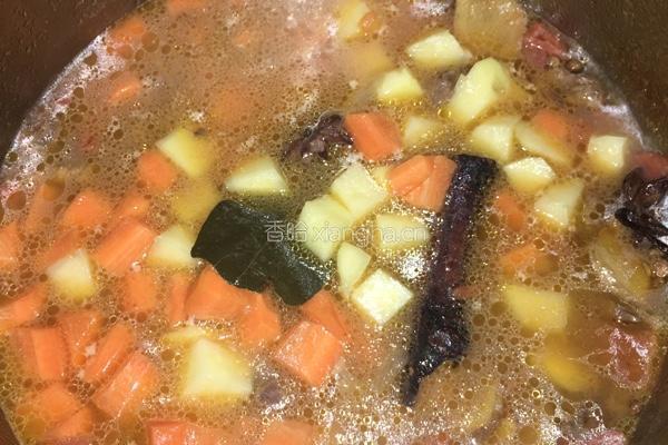 西红柿土豆胡萝卜炖牛肉的做法图解7