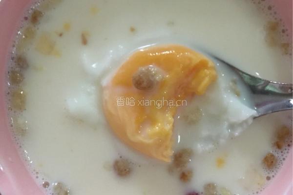 牛奶窝蛋的做法图解4