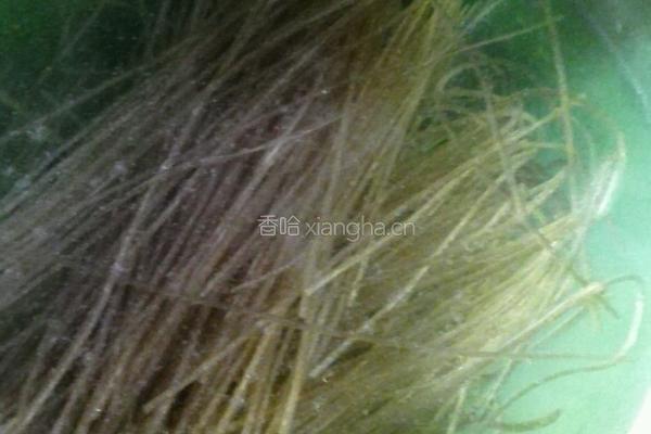 排骨炖粉条鸡蛋的做法图解3