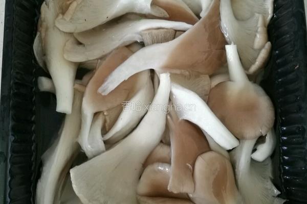 平菇肉片汤的做法图解1