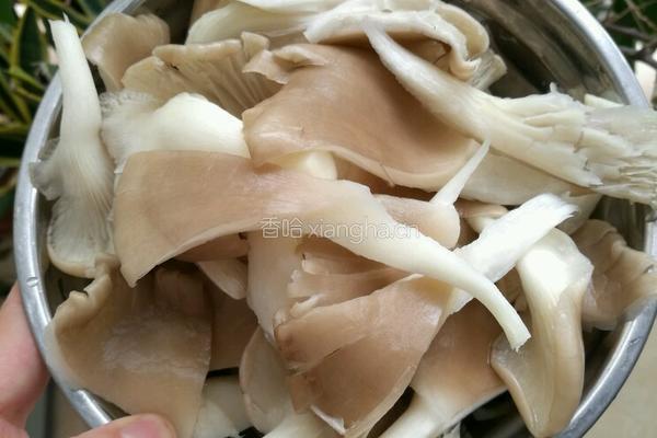 平菇肉片汤的做法图解2