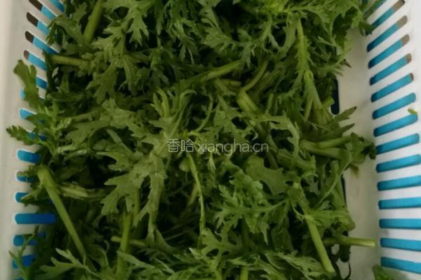 清炒皇帝菜的做法图解2