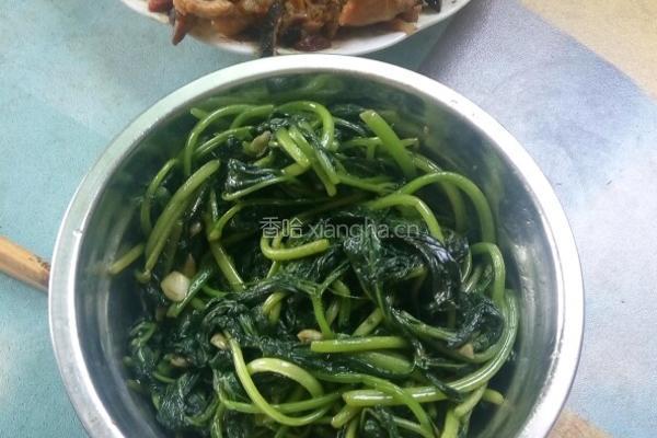 蓬松金针鸡的做法图解5