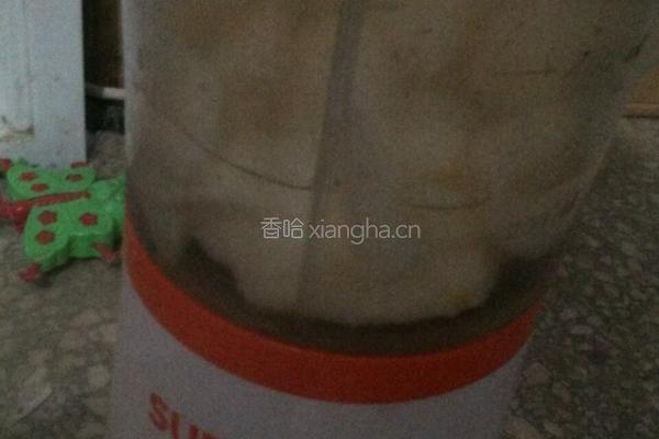 雪梨冰棍的做法图解5