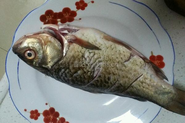 豆瓣鲫鱼的做法图解2