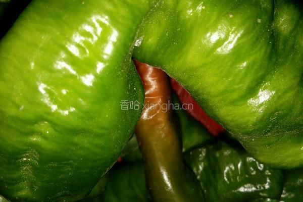 凉拌冻肉的做法图解2
