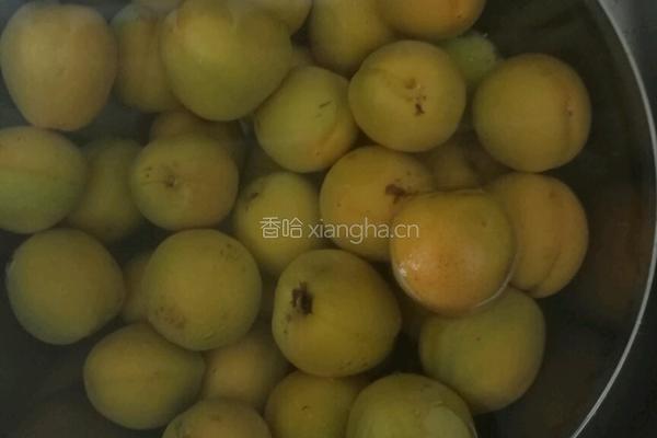 黄杏果酱的做法图解1