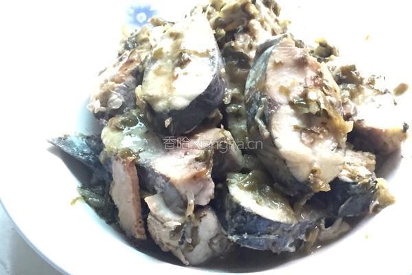 酸菜（糟菜）马鲛鱼的做法图解6