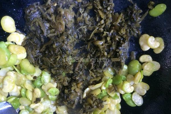 雪菜豆瓣的做法图解7