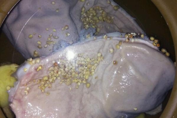 茶树菇猪肚汤的做法图解5