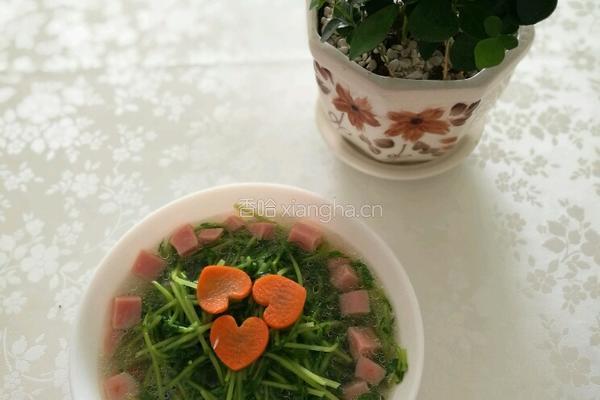 上汤豆苗的做法图解6