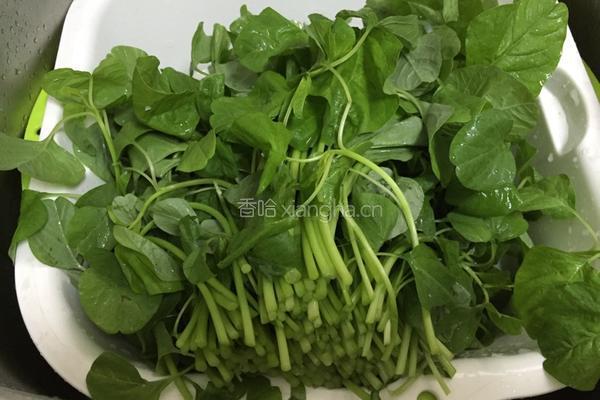 苋菜虾仁的做法图解1