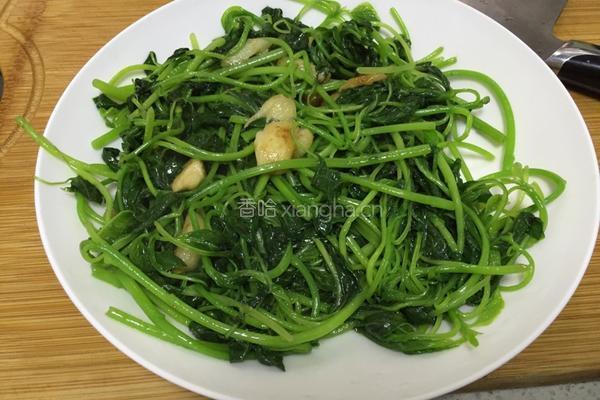 苋菜虾仁的做法图解7