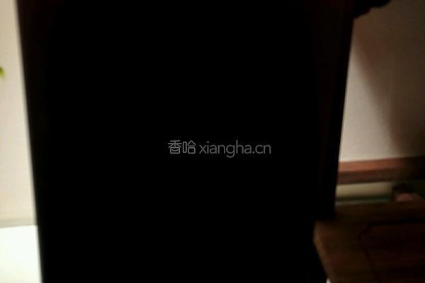 杨梅的做法图解3