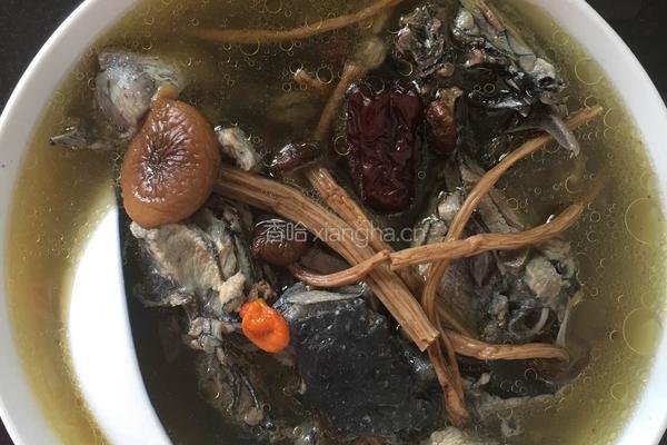 乌鸡炖茶树菇