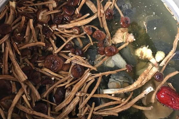 乌鸡炖茶树菇的做法图解3