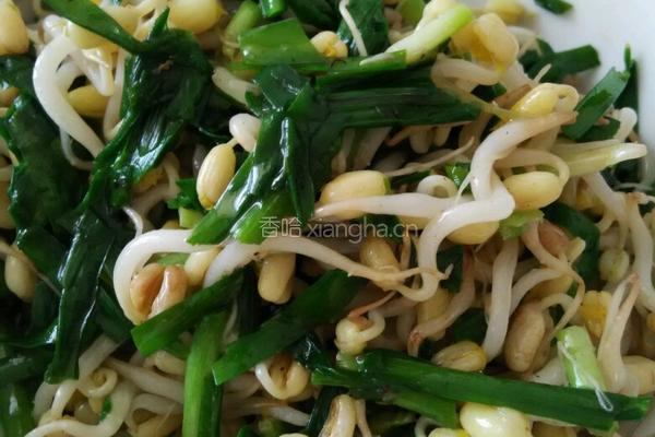 发绿豆芽的做法图解11