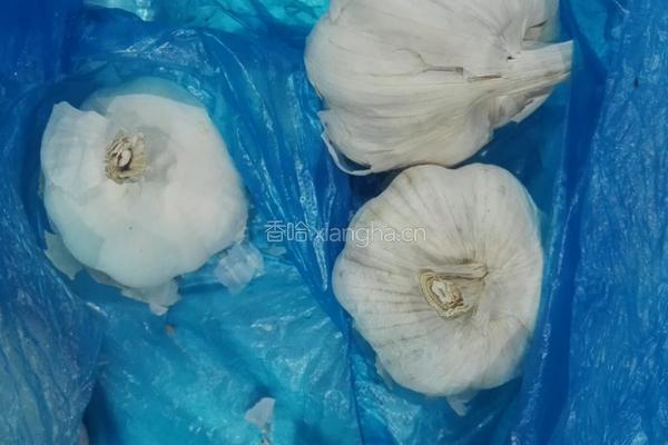 西式青苏酱配烤法棍片(汤类配菜)的做法图解3