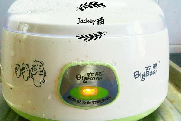 纯手工酸奶的做法图解4