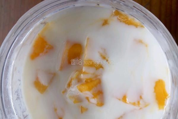 芒果酸﻿﻿﻿﻿﻿﻿﻿﻿﻿﻿﻿奶的做法图解3