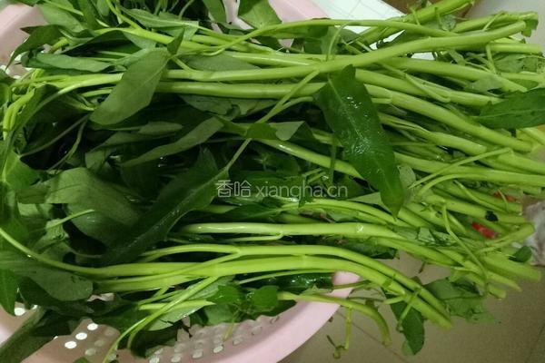 炒空心菜的做法图解1