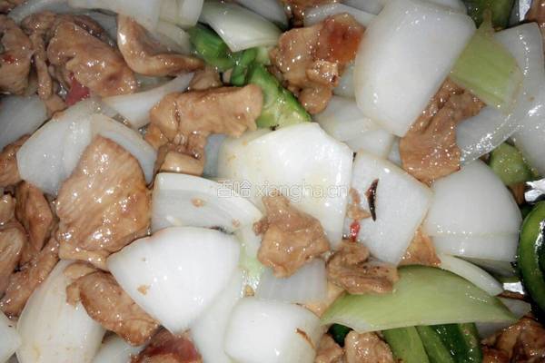 洋葱炒鸡肉的做法图解8
