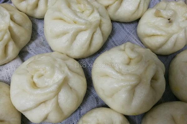 白菜粉丝猪肉包子的做法图解13