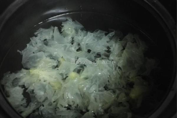 木瓜雪耳牛奶的做法图解3