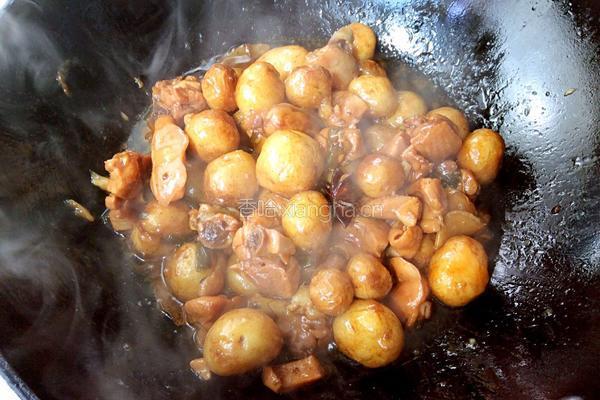 鸡腿焖土豆的做法图解8