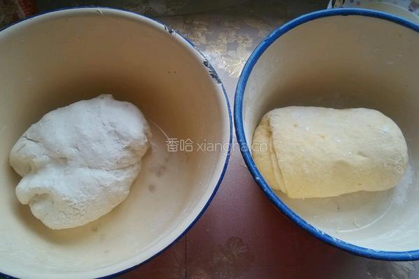 南瓜双色馒头的做法图解3