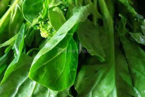 瘦肉炒芥兰的做法图解2