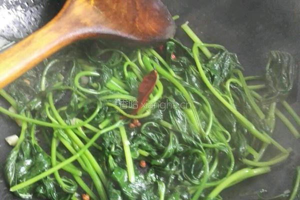 炝炒红薯叶的做法图解6