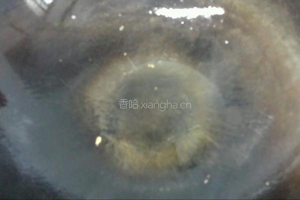 嫩南瓜炒鸡蛋的做法图解14