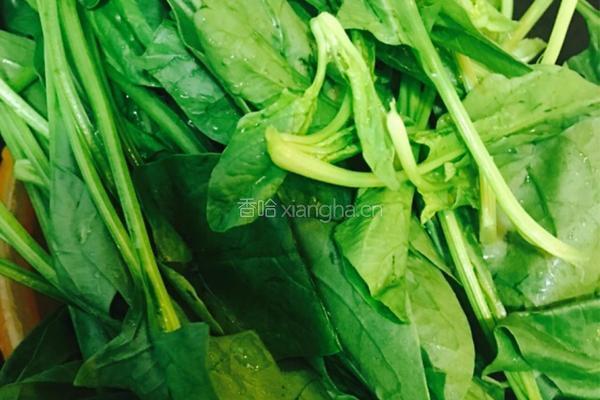 上汤菠菜的做法图解1