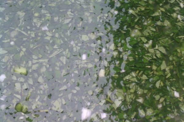 葱花花椒叶油饼的做法图解3