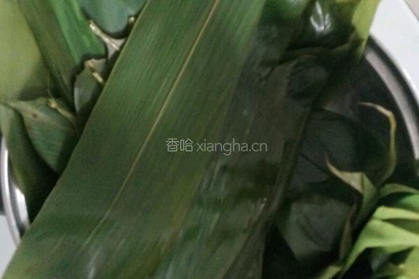 蜜枣粽子的做法图解3