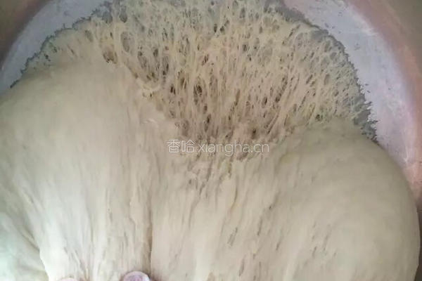 生煎包的做法图解9