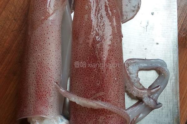 白灼鱿鱼的做法图解1